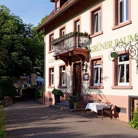 Hotel & Restaurant Gruener Baum Merzhausen Kültér fotó