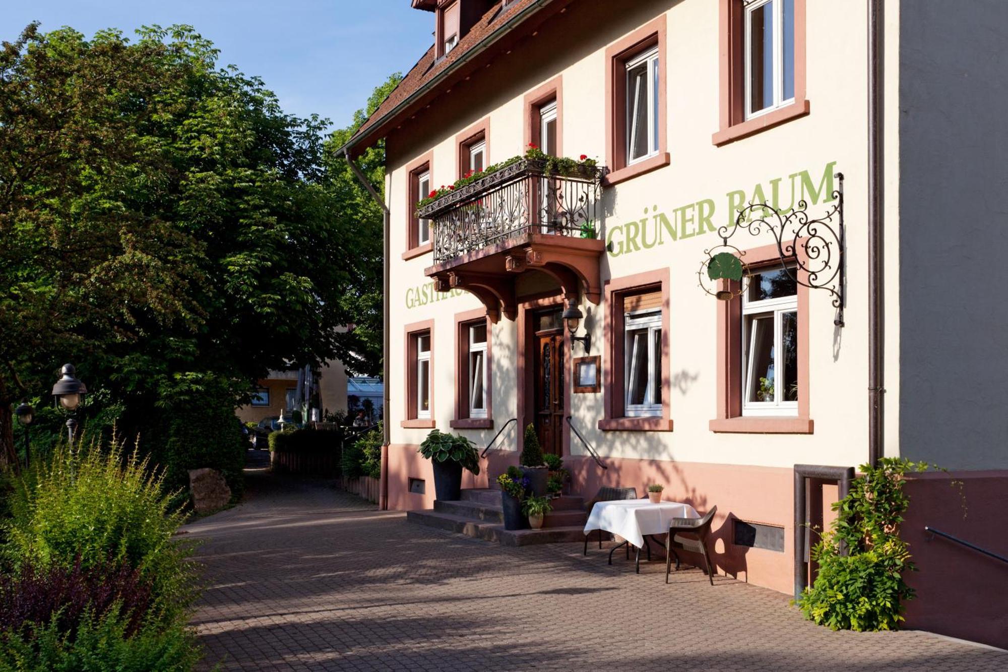 Hotel & Restaurant Gruener Baum Merzhausen Kültér fotó