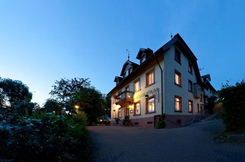 Hotel & Restaurant Gruener Baum Merzhausen Kültér fotó