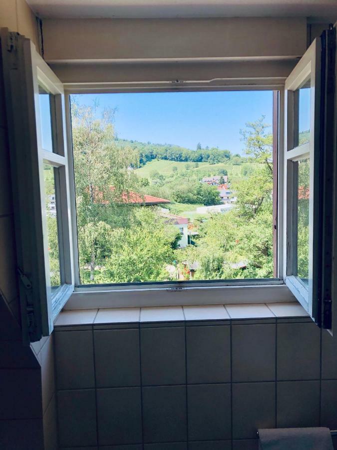Hotel & Restaurant Gruener Baum Merzhausen Kültér fotó