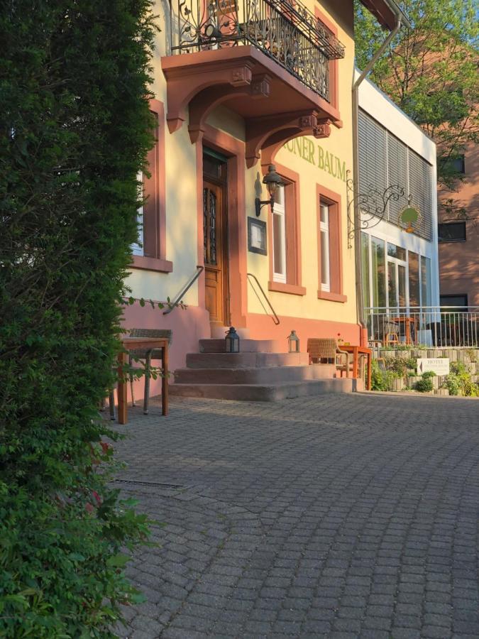 Hotel & Restaurant Gruener Baum Merzhausen Kültér fotó